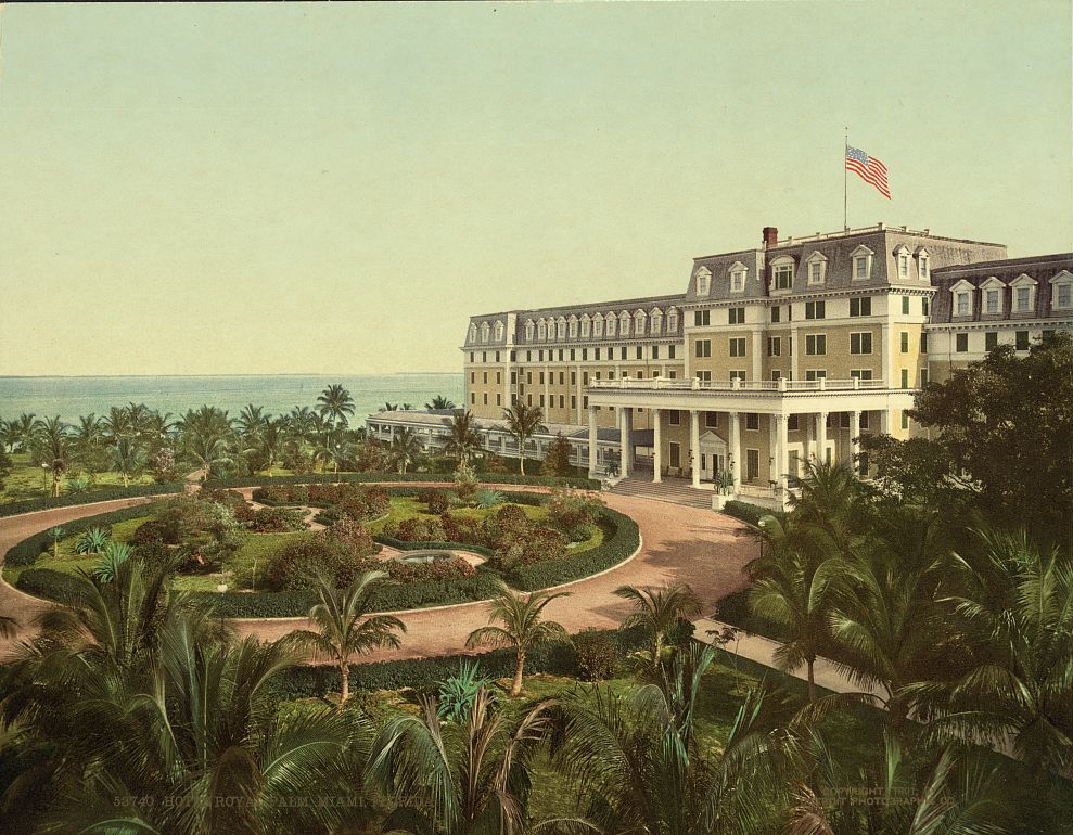 The Royal Palm · 1901